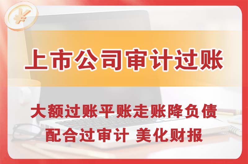 亳州上市公司审计过账